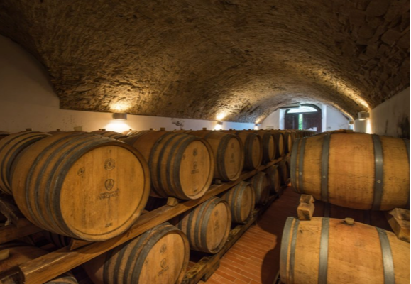 a nice cellar hosting ancient barrels