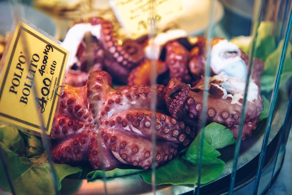 boiled octopus