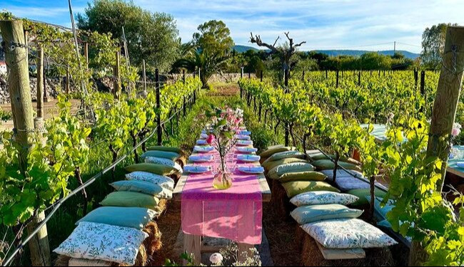 masseria-wine